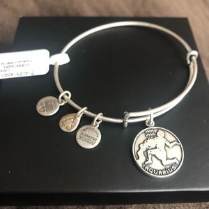 Alex and Ani Silver Aquarius Bracelet